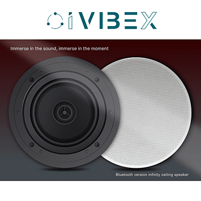 Ceiling Speaker bluetooth  5.25 inch  (10-30W) (X16MS205C5-BT)